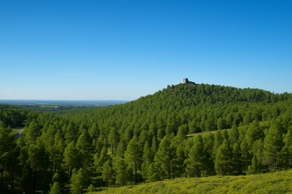 پارک جنگلی چیتگر؛ ریه طبیعی غرب تهران